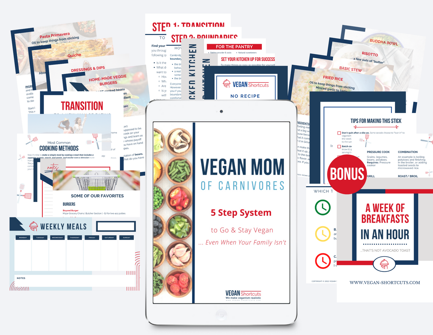 Vegan Mom of Carnivores: 5 Step System to Go & Stay Vegan Even When Your Family Isn't