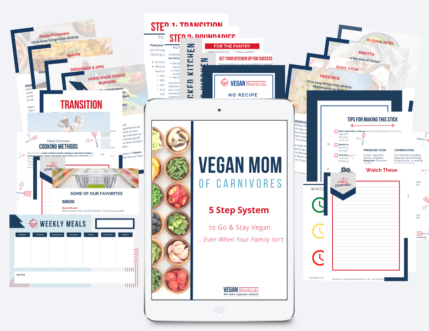 Flash Sale - 5 Step System to Go & Stay Vegan... Even When Your Family Isn't